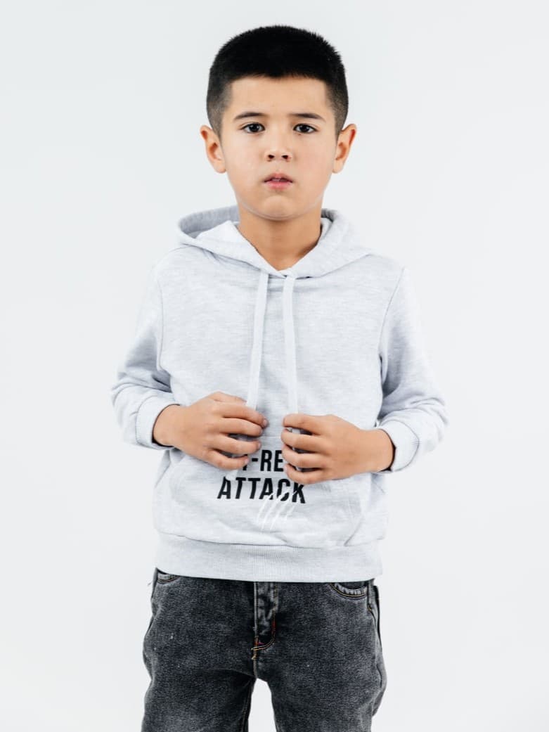 Gray Hoodie - image - 00